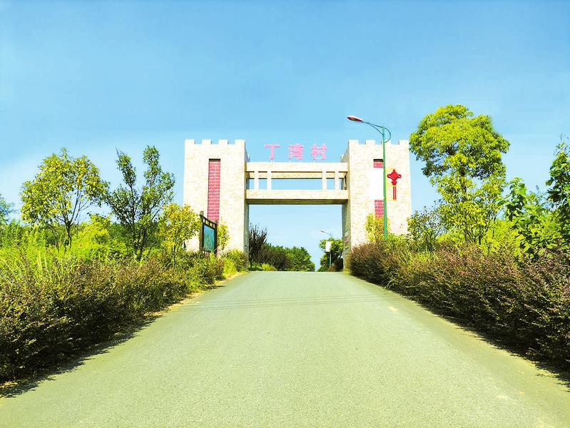 广水市杨寨镇丁湾村乡村振兴探访